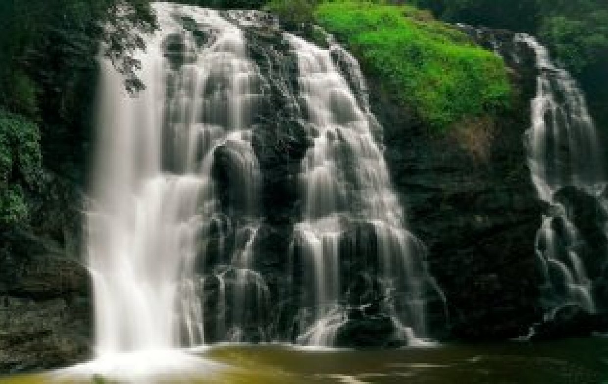 Free php Template by Untree.co